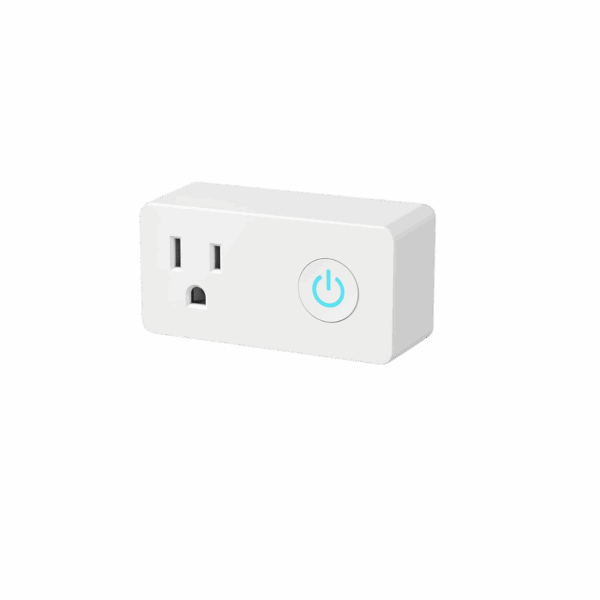 The Plug