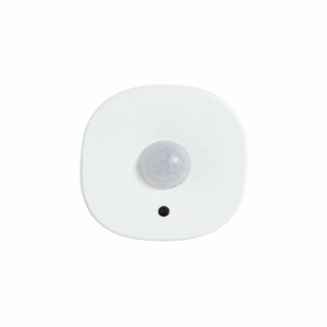 Motion Sensor
