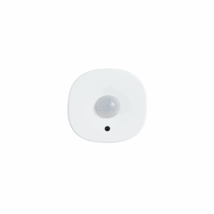 Motion Sensor